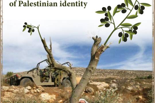 Israeli settlers accused of destroying Palestinian olive trees
