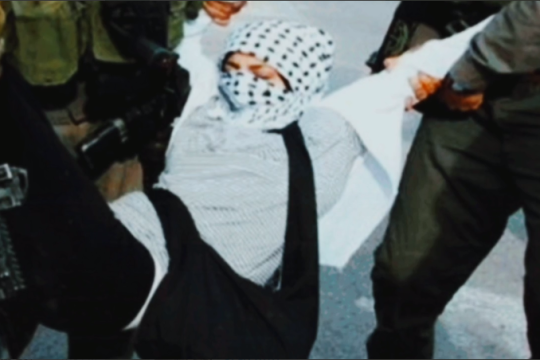 مجموعه ویدیو : به جرم فلسطینی بودن