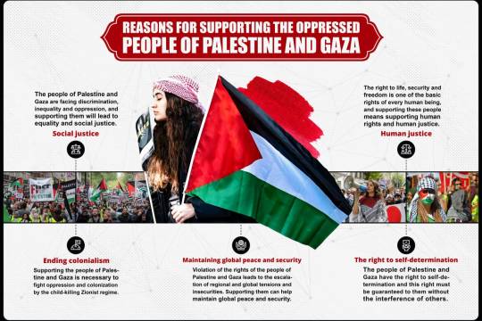 infographic " Reasons for supporting the oppressed people of Palestine and Gaza "