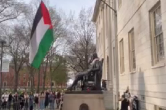 برافراشتن پرچم فلسطین در دانشگاه هاروارد
