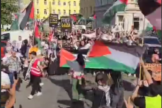 تظاهرات همبستگی با غزه در وین پایتخت اتریش