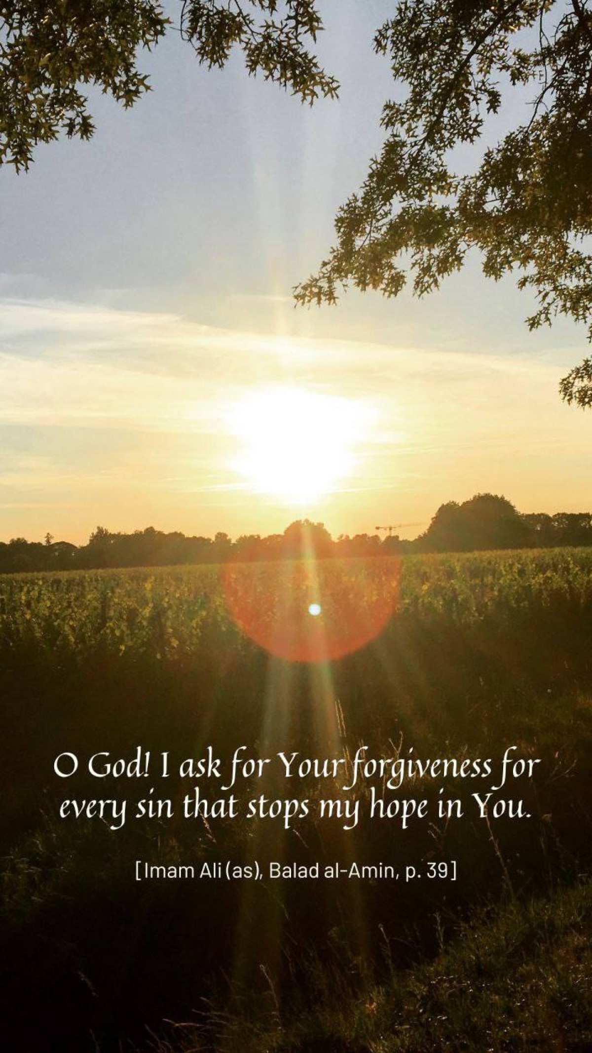 O God I ask for Your forgiveness for every sin that stops my hope in You