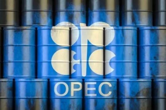 Oil Titans in Turmoil: Will OPEC+ Weather the Global Economic Storm?