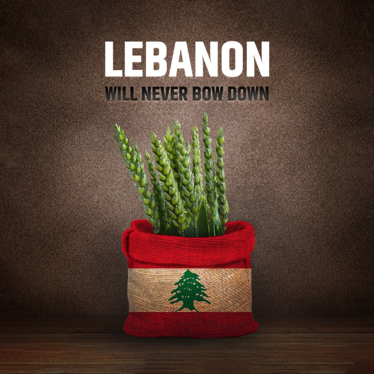 Lebanon will never bow down