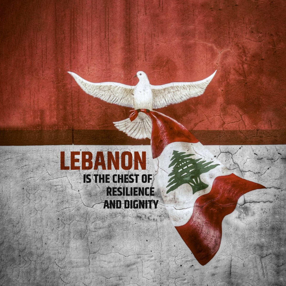 Lebanon is the chest of resilience and dignity