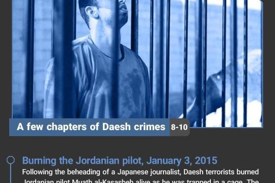 A few chapters of Daesh crimes 8