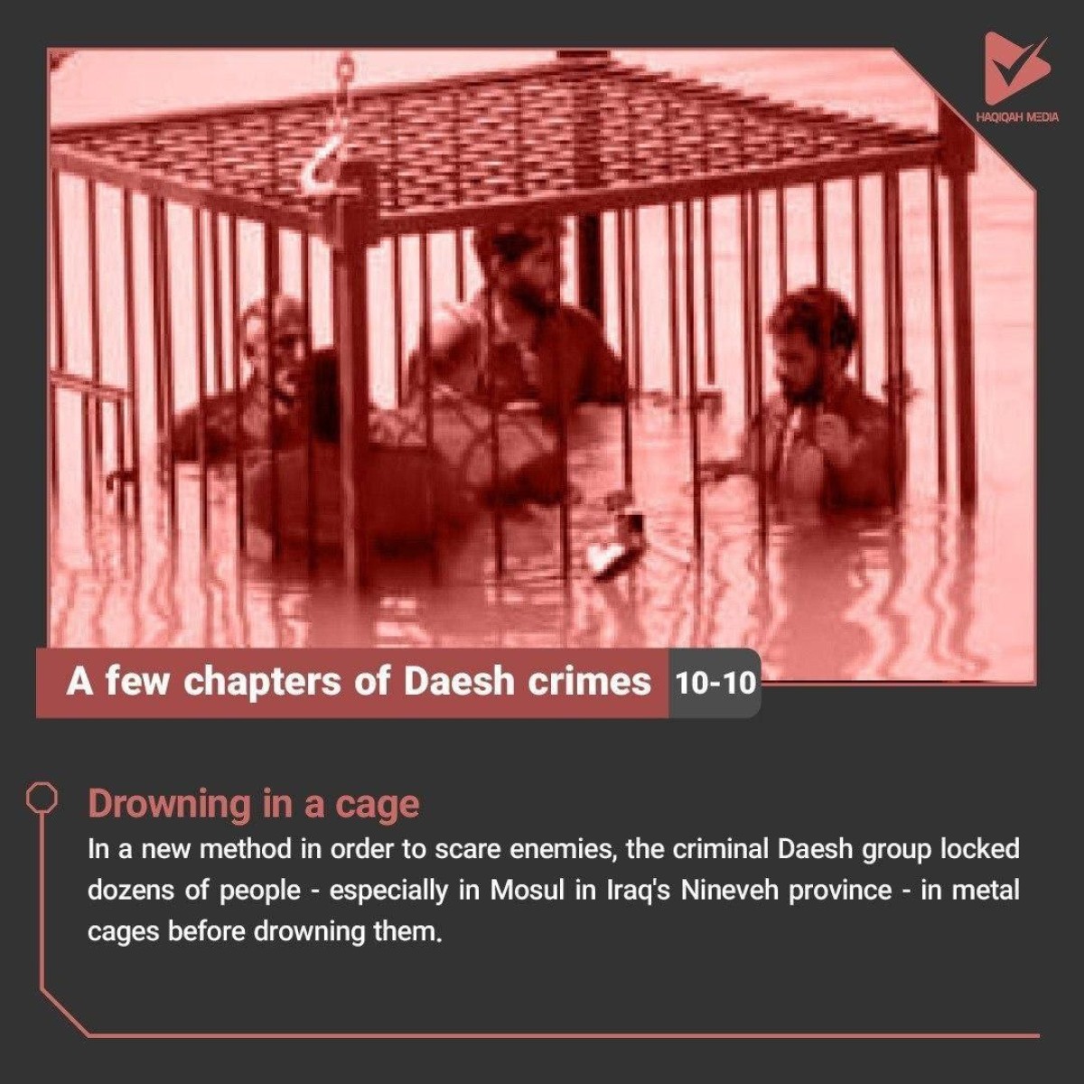 A few chapters of Daesh crimes 10