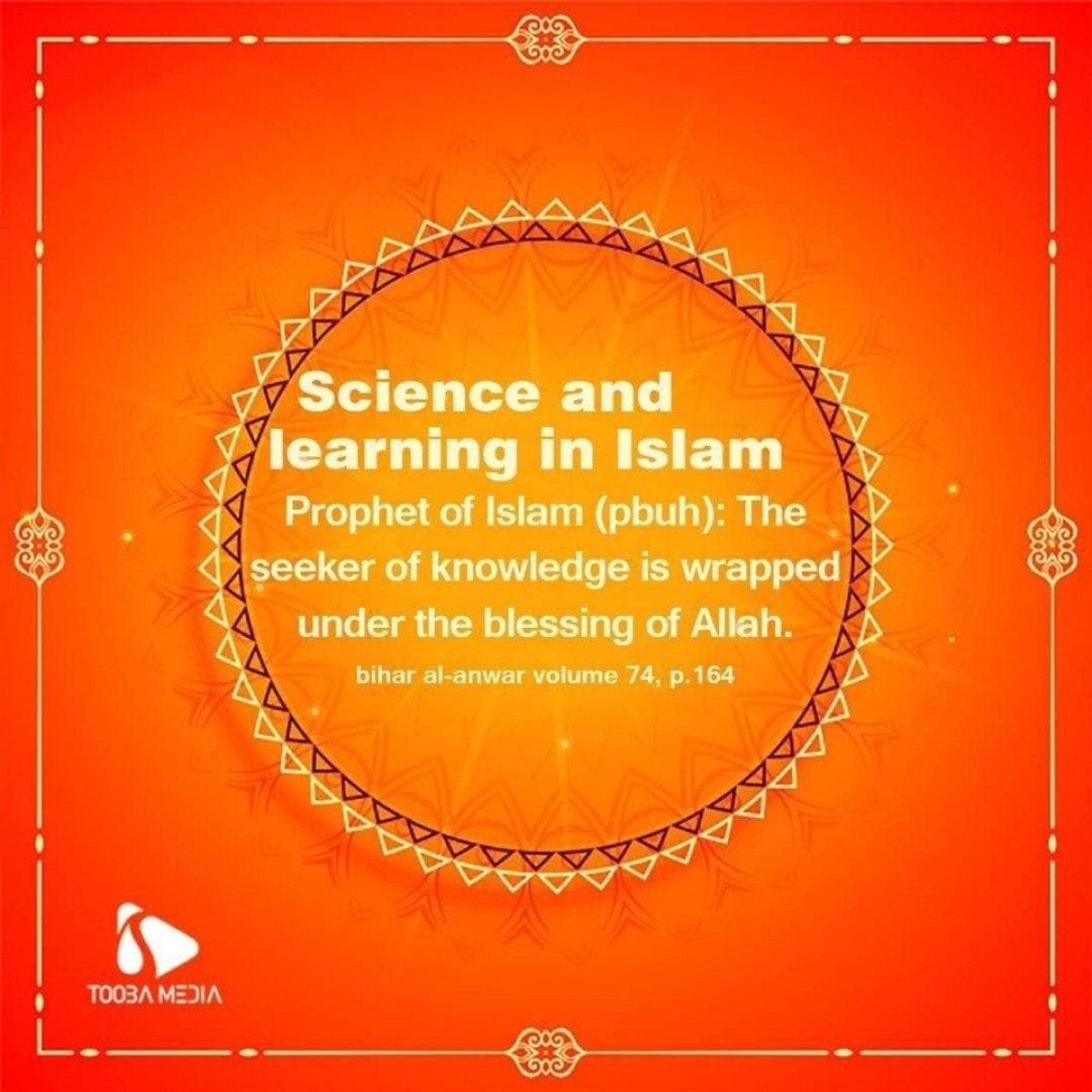 Science and learning in Islam_8