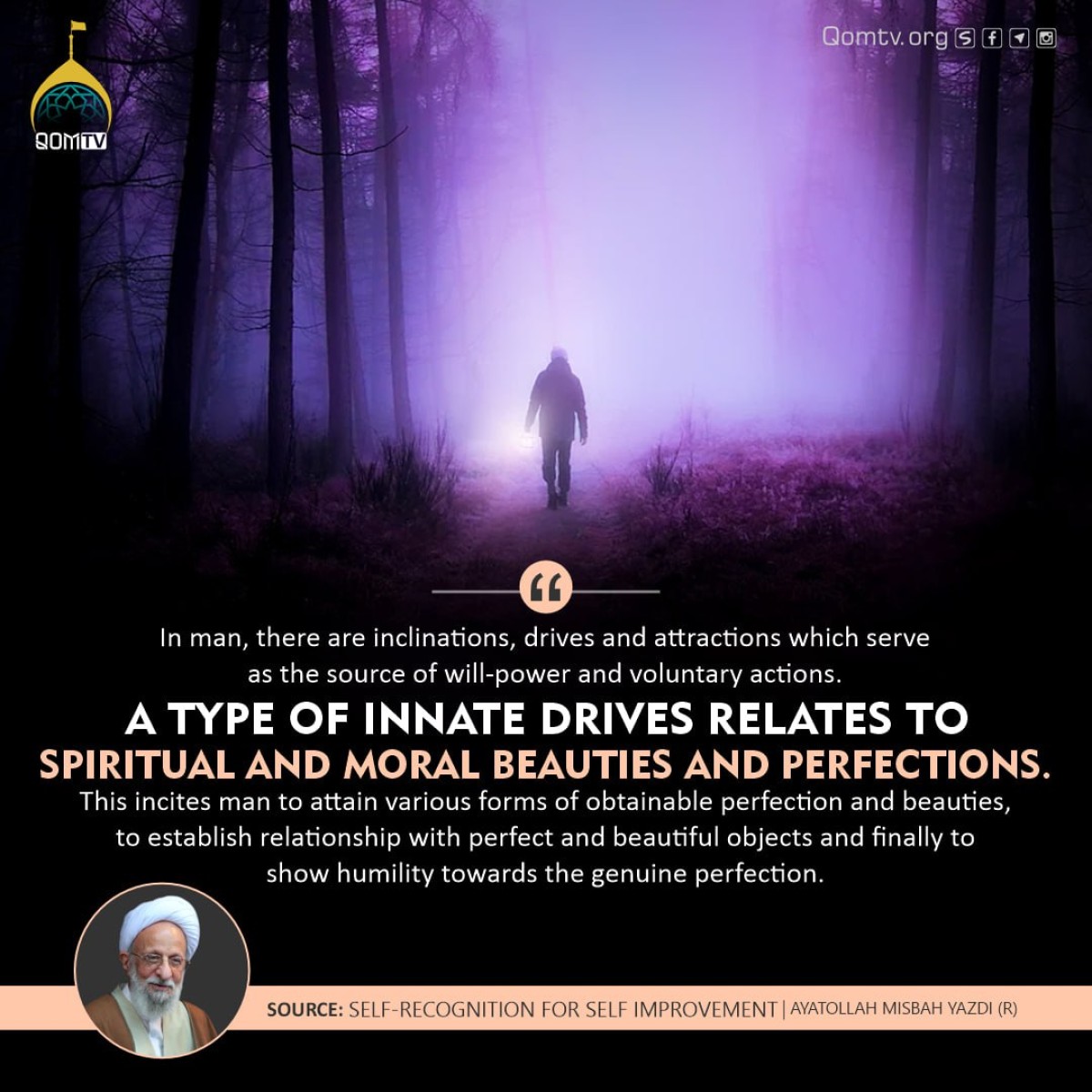 A type of innate drives relates to spiritual and moral beauties and perfections