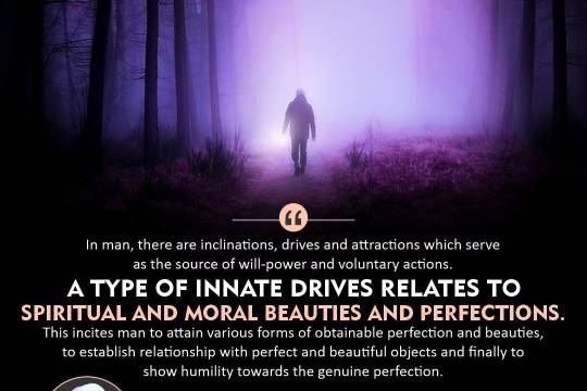 A type of innate drives relates to spiritual and moral beauties and perfections