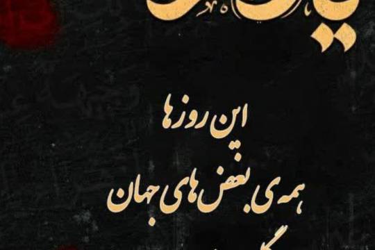 مجموعه پوستر : این روز ها همه بغض های جهان در گلوی من است