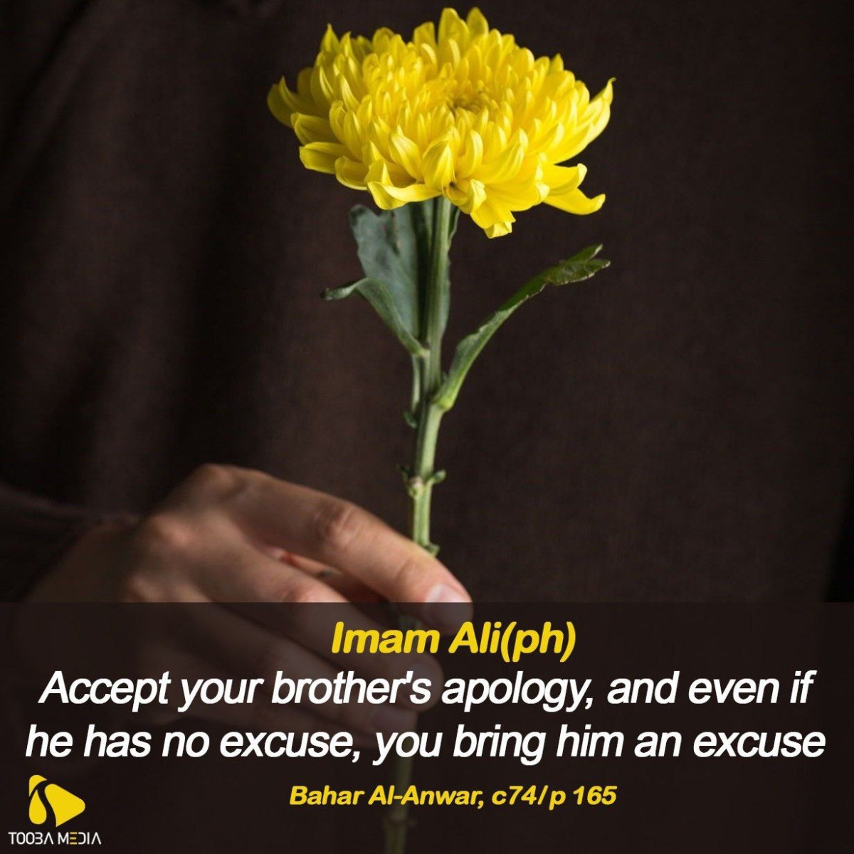 Accept your brother's apology, and even if he has no excuse, you bring him an excuse