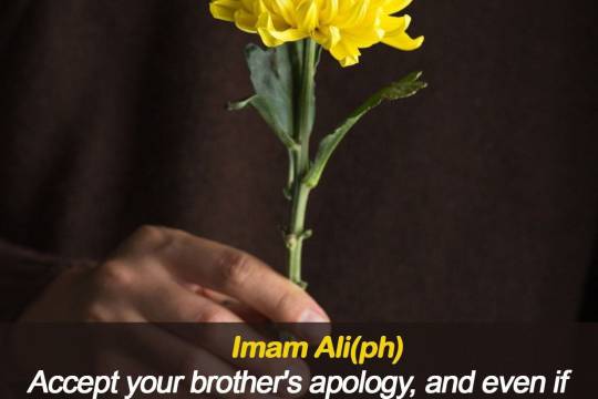 Accept your brother's apology, and even if he has no excuse, you bring him an excuse