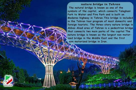 nature bridge in Tehran