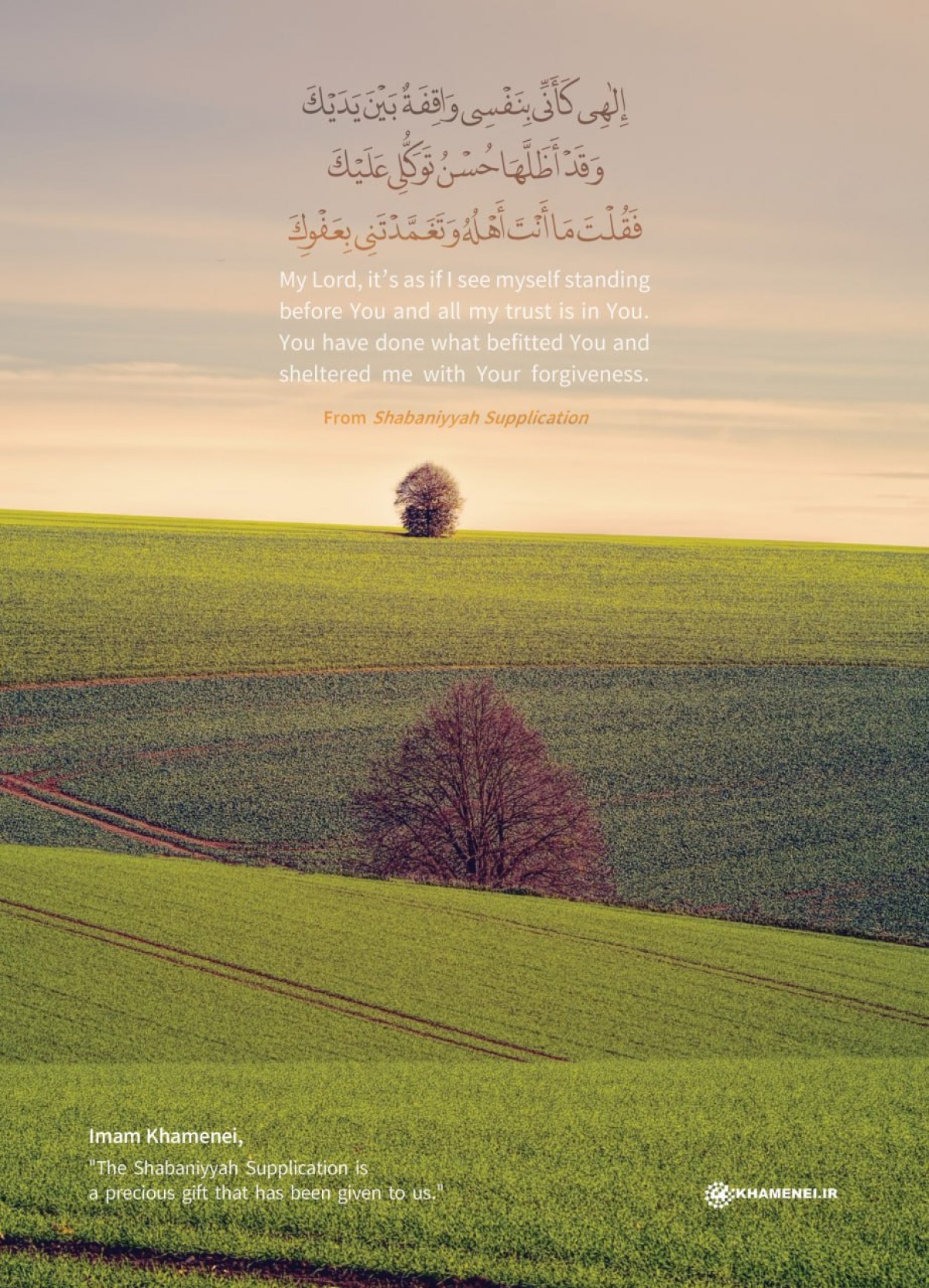 All my trust is in You