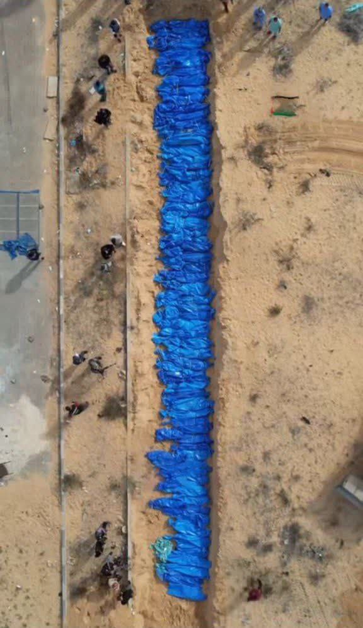 اینها برای ما فقط عدد نیستند!