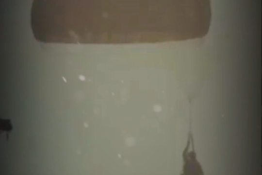 ارتش، کنار ملت