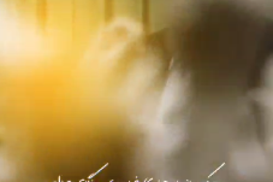 من به‌محض دیدن او، خاطرش را خواستم‌‌‌‌