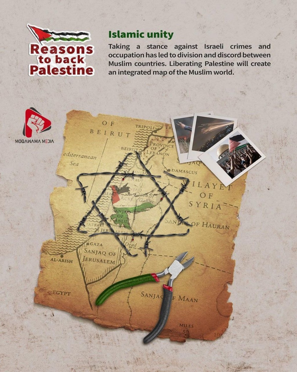 Reasons to back Palestine Islamic unity