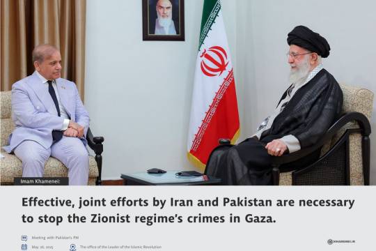Effective, joint efforts by Iran and Pakistan are necessary to stop the Zionist regime’s crimes in Gaza.