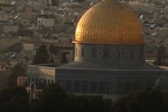 فيديو استوري / المقاومة هي طريق تحرير القدس الشريف