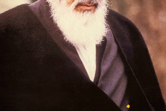 مجموعه عکس نوشت : نابغه تاریخ