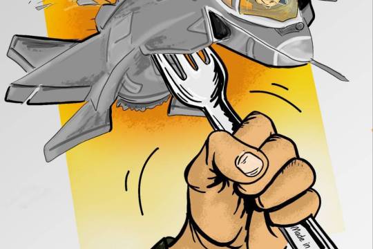 شکار جنگنده های f35