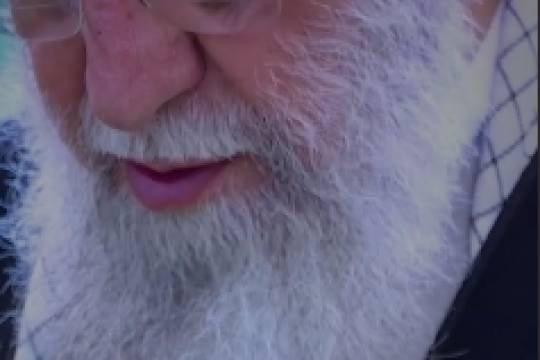 رُخ تو در نظرم چنین خوشش آراست