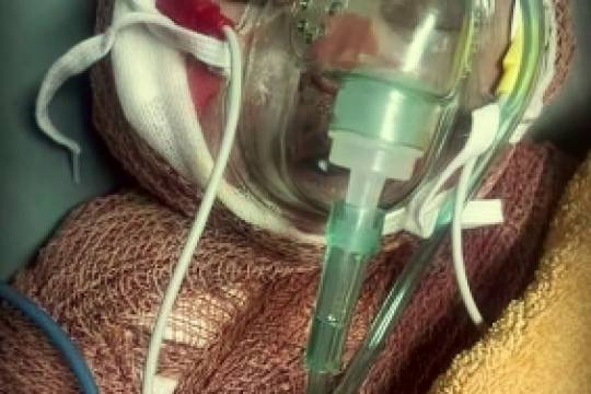 اسرائیل دروغ می گوید!!!