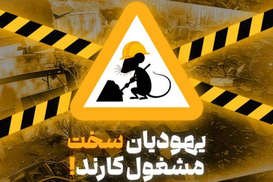 هنوز مشغولند