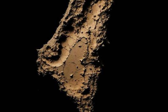 تشنگی غزه؛ صدای خاموش انسانیت