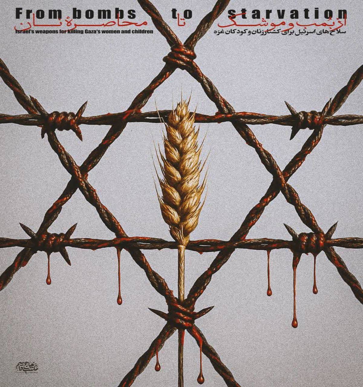 From bombs to starvation Israel's weapons for killing Gaza's women and children