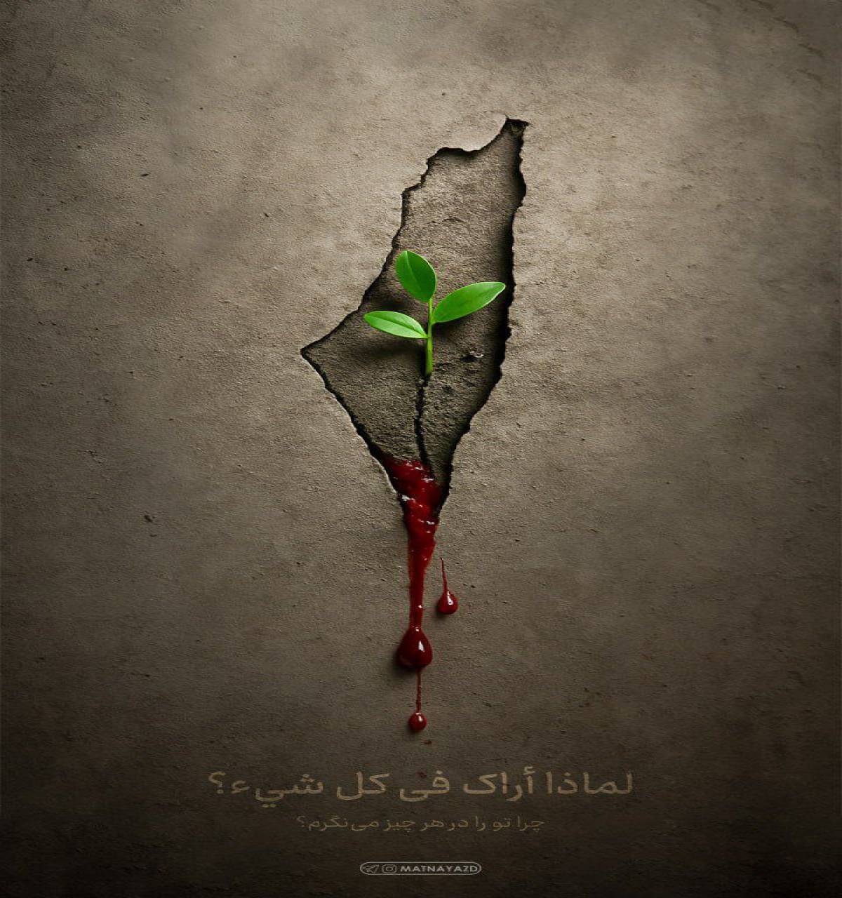 چرا تو را در هر چیز می نگرم ؟