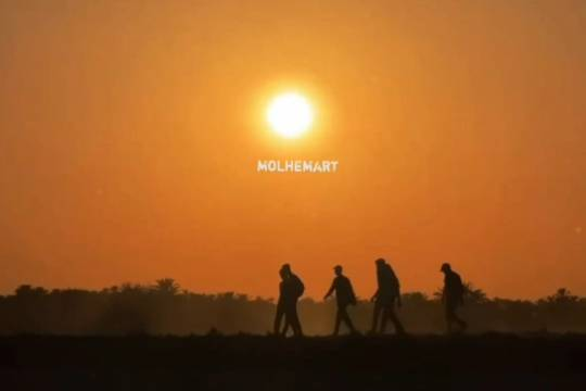 تنها طلایه دار اربعین نرفته ها