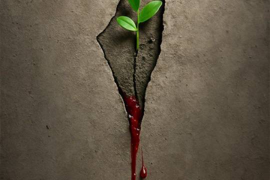 چرا تو را در هر چیز می نگرم ؟