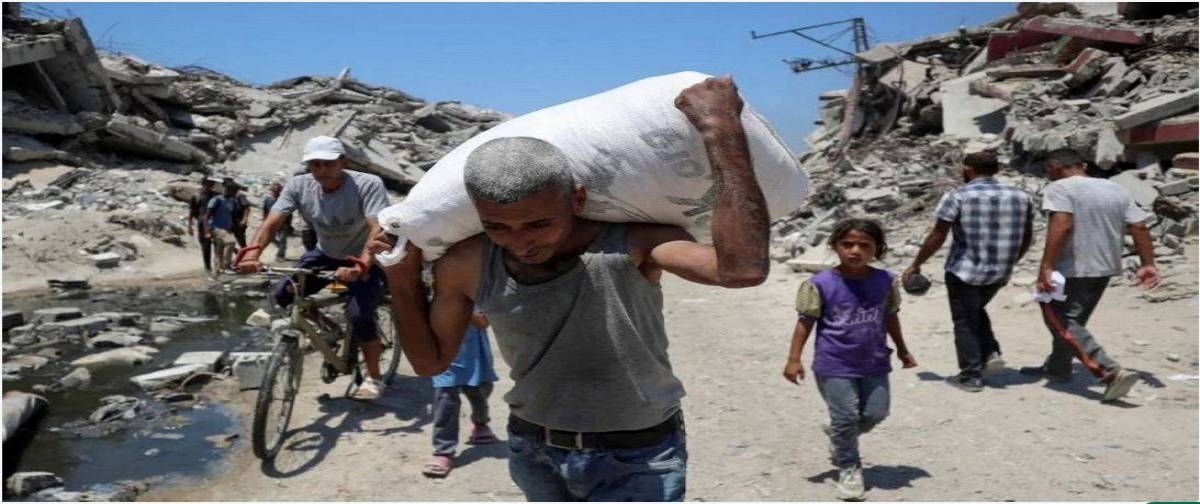 Moldy Bread Diplomacy: How the West’s “aid” to Gaza Became a Weapon of Mass Humiliation