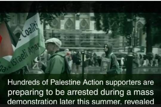 Hundreds of Palestine Action supporters are preparing to be arrested during a mass demonstration later this summer, revealed documents show