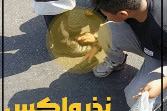 عکس نوشت : نذر واکس