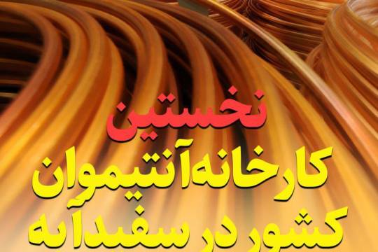 مجموعه پوستر : اقتصاد استان سیستان و بلوچستان