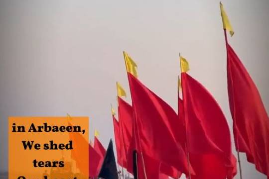 in Arbaeen, We shed tears Our heart oozes blood Pounding with a thud In the grievance of Hussain