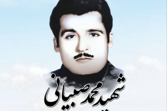 مجموعه عکس نوشت : فتح قله ها با سیره عملی شهدا