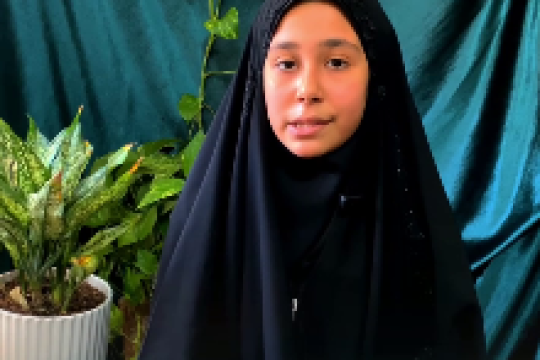 مجموعه ویدیو : کرامت‌های رضوی