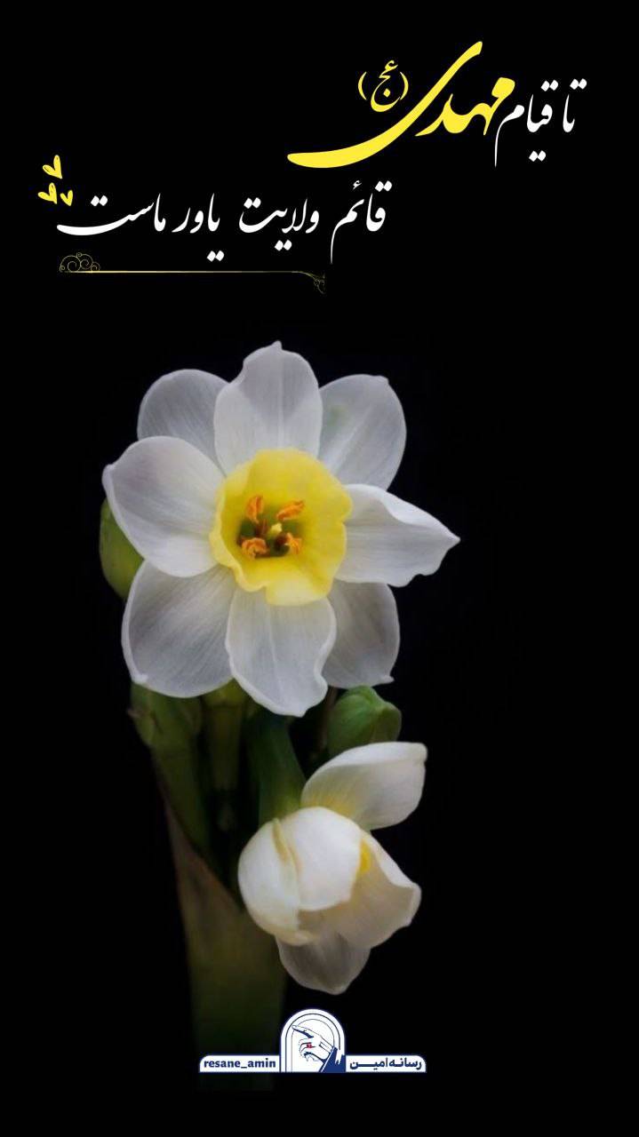 پوستر : تا قیام مهدی (عج) قائم ولایت یاور ماست