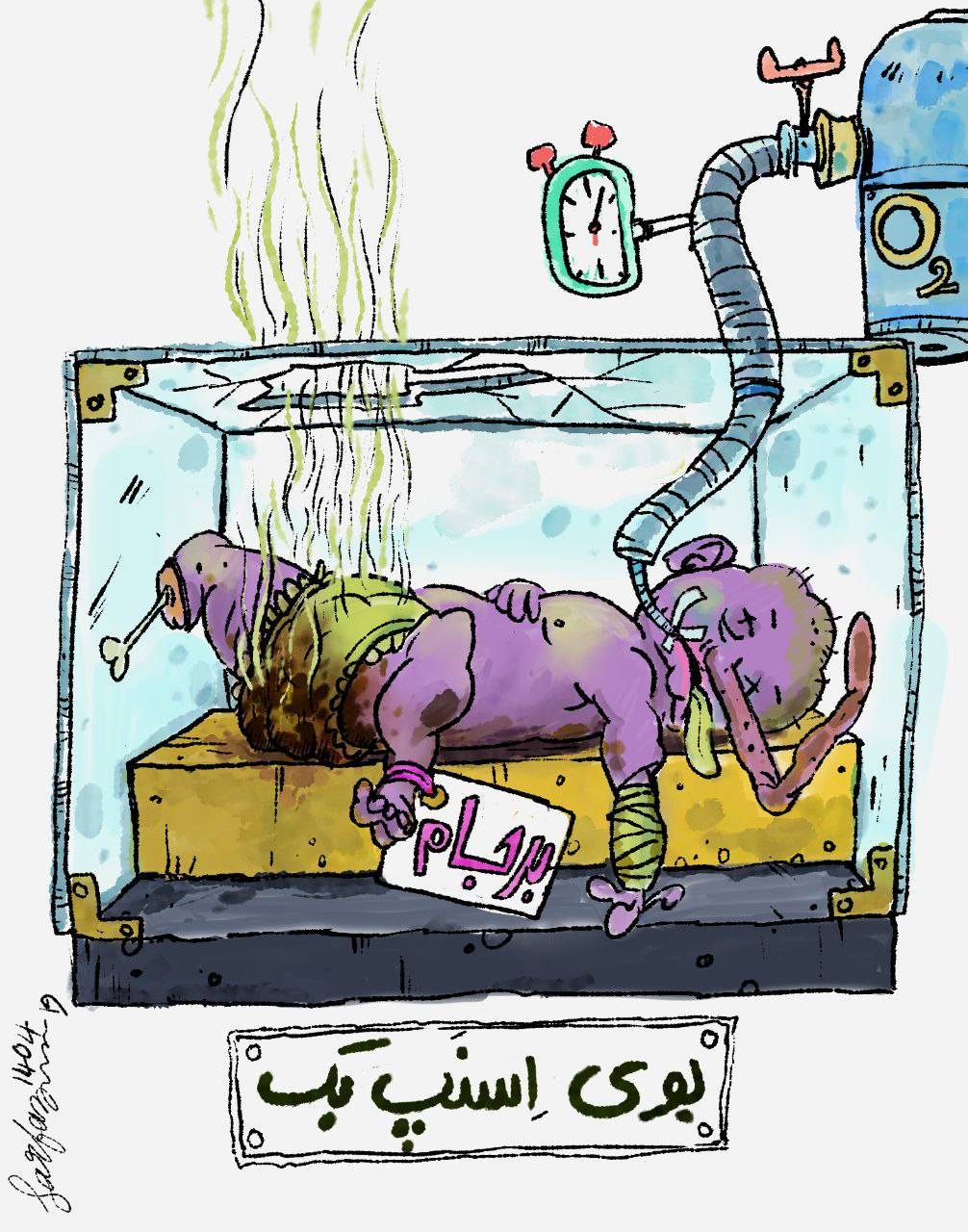 بوی اسنپ بک