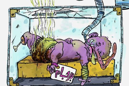 بوی اسنپ بک