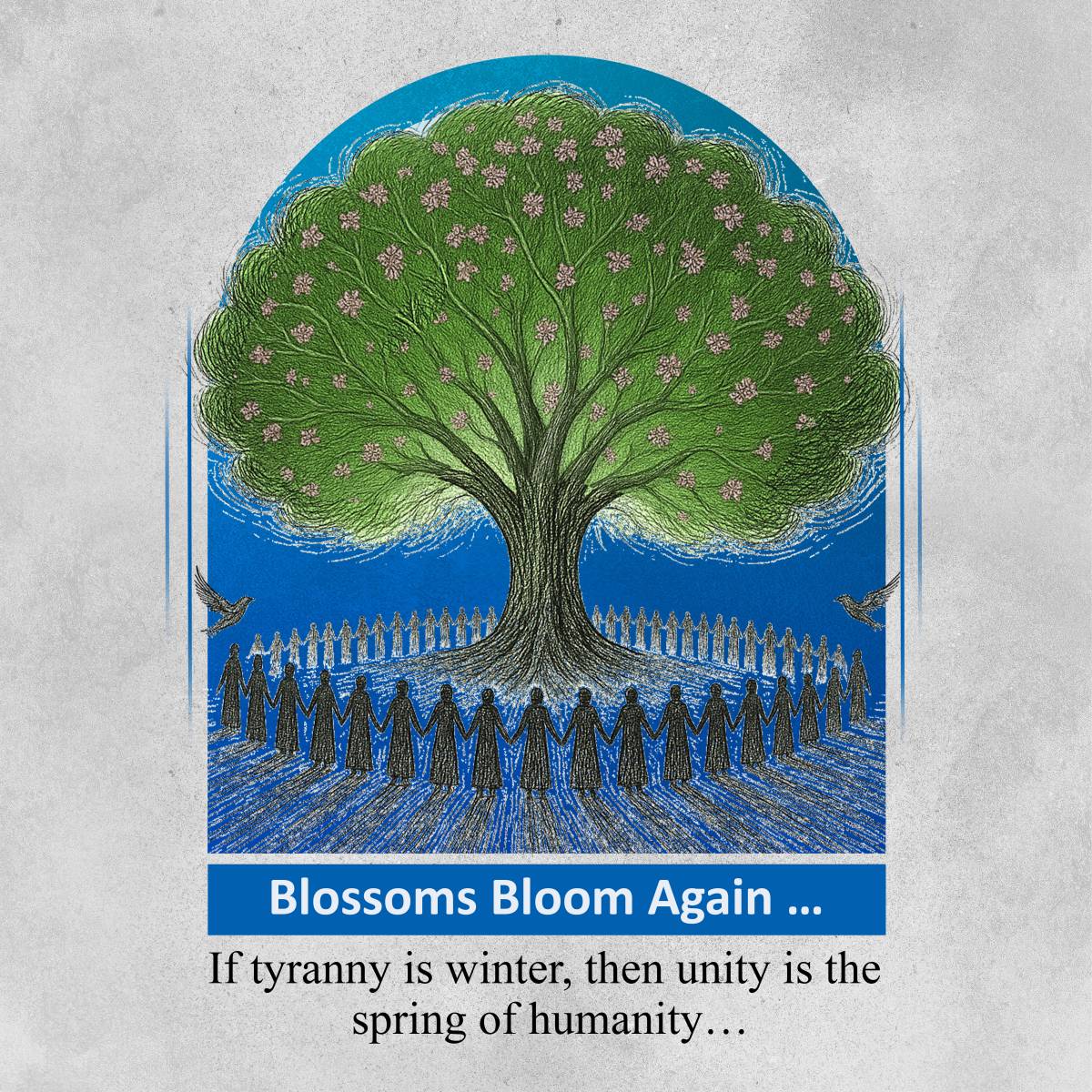 Blossoms Bloom Again