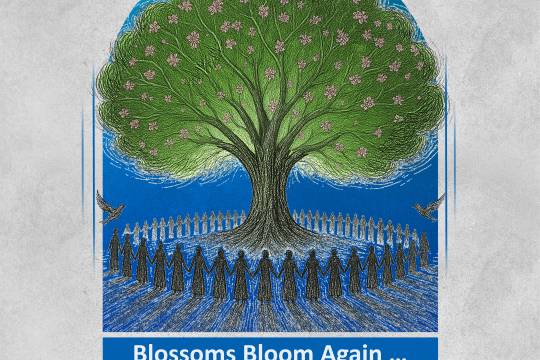 Blossoms Bloom Again