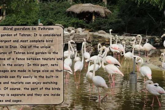 Bird garden in Tehran