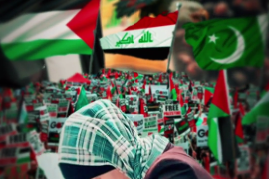 مجموعه موشن استوری : وحدت