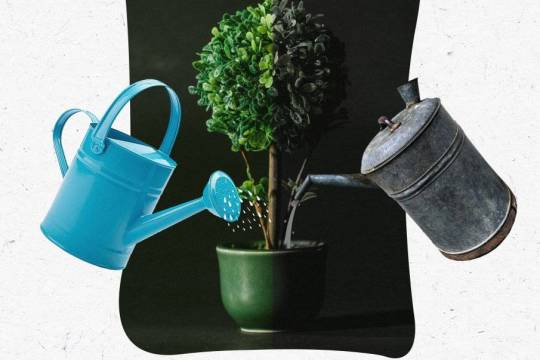 امیدوار کردن یا ناامید کردن